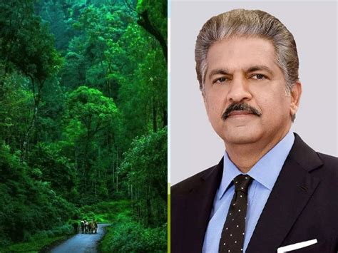 Anand Mahindra’s weekend getaway is a 5-hour drive from Bengaluru, with ...