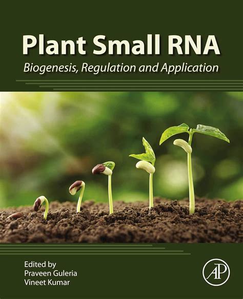 Plant Small RNA: Biogenesis, Regulation and Application eBook : Guleria ...