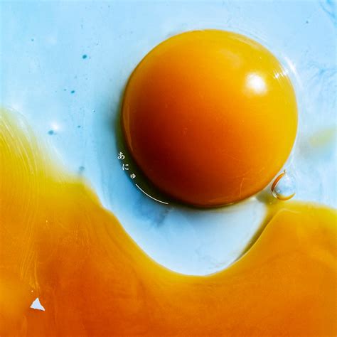 [With serial number] RADWIMPS New Album "Title TBD" ＜Regular Edition ...