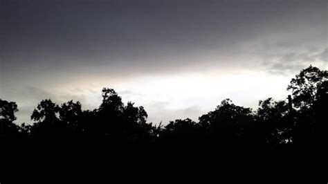 Locus Bug Sound 的图像结果