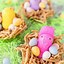 Image result for Rabbit Nests in Lawn