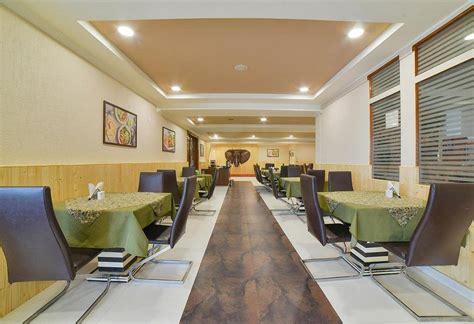 Tarika Resort & Spa - Chail | New Year Packages Near Chandigarh @8826291111