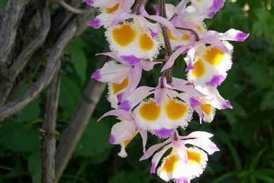 Winners of the State Level Photography Competition in Beauty of The ...