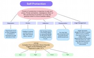 Image result for Fortress Simulator Tutorial