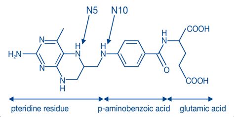 Image result for Folate Molecular Formula