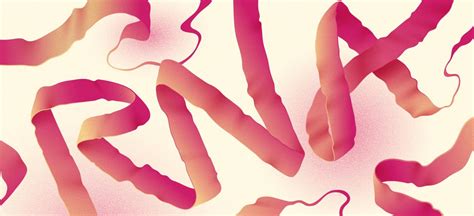 Image result for microRNA Design