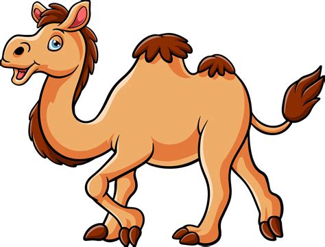 Cartoon camel isolated on white background 20004087 Vector Art at Vecteezy