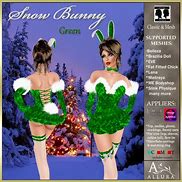 Image result for Snow Bunny Animal