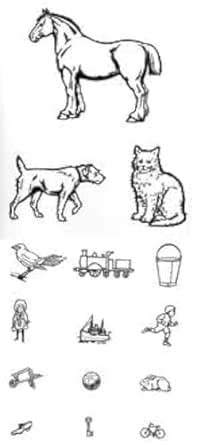 G-Matronix Eye vision Chart Child Standard Animal Snellen Chart (Pack ...