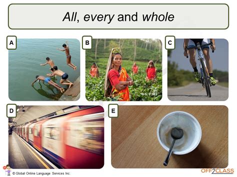 Quantifiers Detial Example 的图像结果