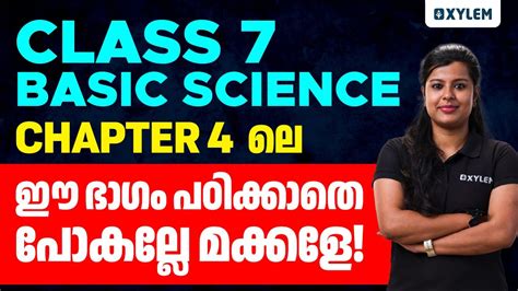 Image result for Xylem Class 7 Basic Science