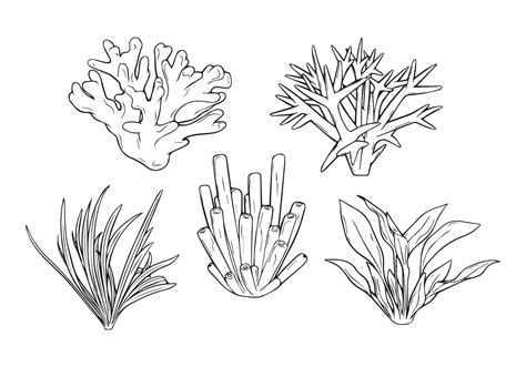 Seaweeds Clipart Black And White Flower