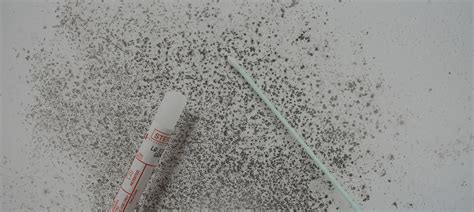 Mould Identification Test - Johnson Group
