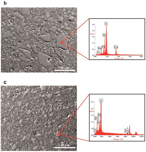 Prevention of Periodontitis by the Addition of a Bactericidal ...