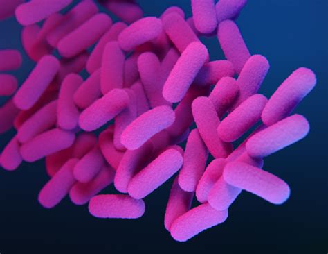 Alaska’s whooping cough outbreak infected hundreds, with infants suffering the most - Chilkat ...