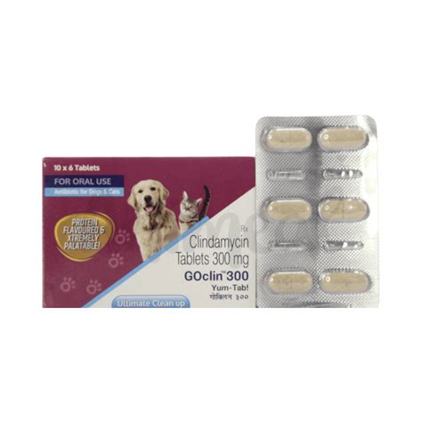AnimealGOCLIN 300 TABLET - Upto 15% Off - Animeal
