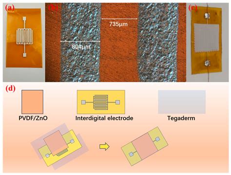 Morphology-Dependent Behavior of PVDF/ZnO Composites: Their Fabrication ...