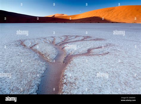 Dendritic Pattern 的图像结果