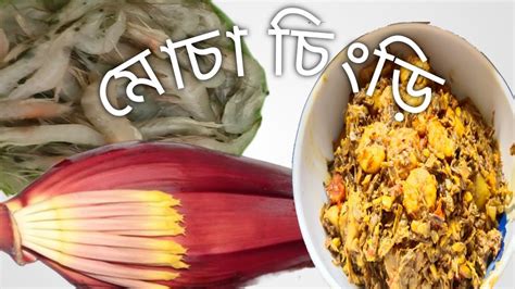 Image result for Moshiur Likhe Bangla Tutorials