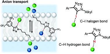 Image result for Anion Testing CSEC