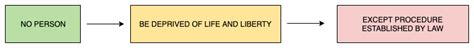 Right to Life (Article 21) - Indian Polity Notes