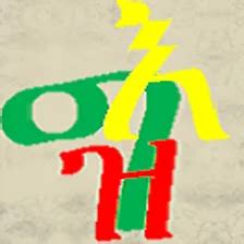 Geez Language Lessons 的图像结果