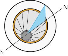 Activity I — task. Science CBSE, Class 7.