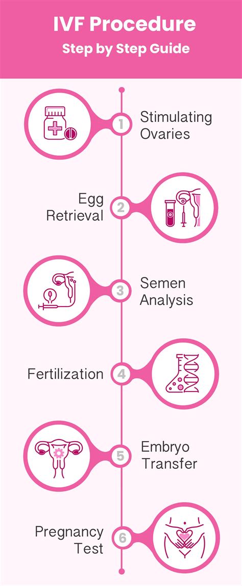 IVF Procedure Explained 的图像结果