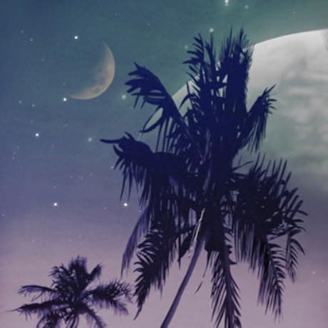 Buy Rocks & Minerals : The Definitive Visual Guide Book Online at Low ...