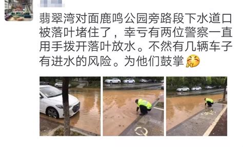 暖！暴雨过道路积水 交警帮忙捞落叶排水 网友：为他们鼓掌！_衢州频道