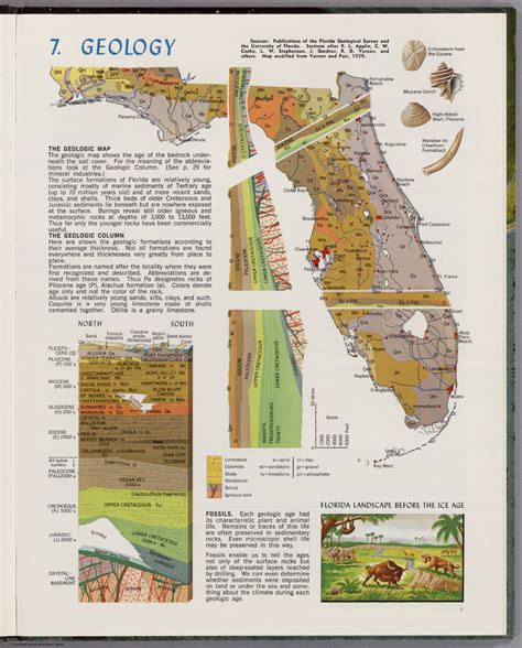 5 Fascinating Florida Geology Facts You'll Learn From The Geologic History Of Florida Book