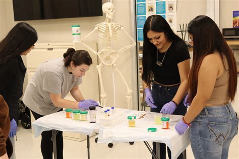 Health Services — Willamette Career Academy