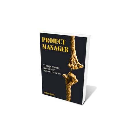 Project Manager 的图像结果