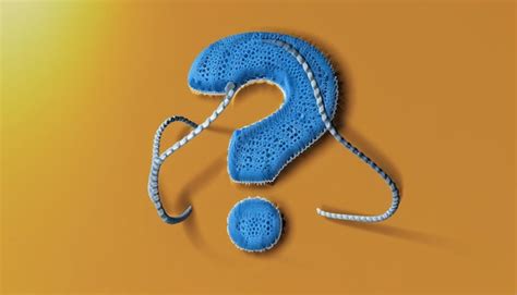 Big Question Mark 的图像结果