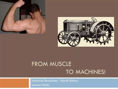 Image result for Muscles et Machines