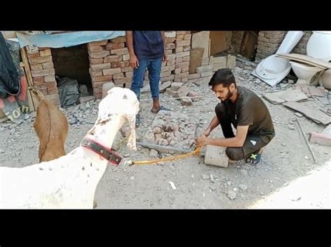 Image result for Machine Learning Using Python Project Work