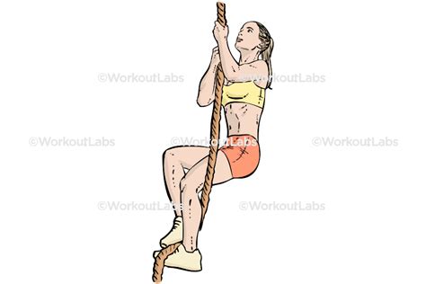 Image result for Rope Climb Tutorial