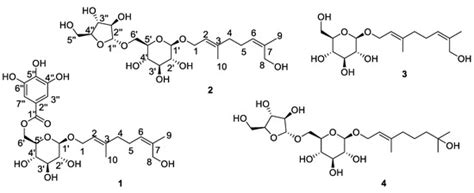 Terpene Glycosides from Sanguisorba officinalis and Their Anti ...