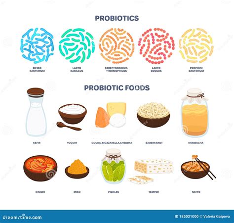 List Of Probiotic Foods