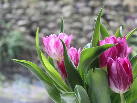 Behner Funeral Home & Crematory, Inc. | Fairfield IA funeral home and ...