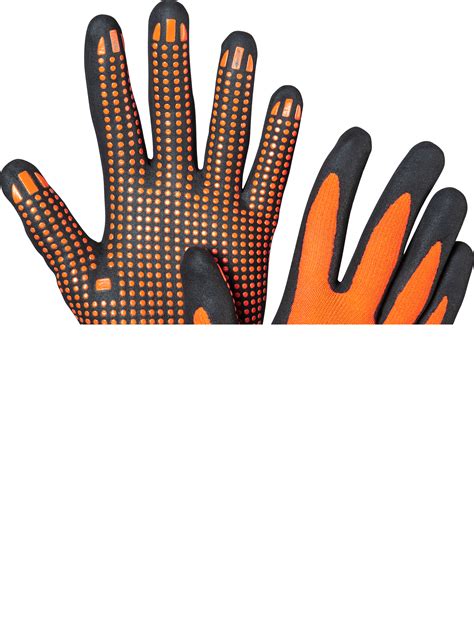 Trio Export Import 的图像结果