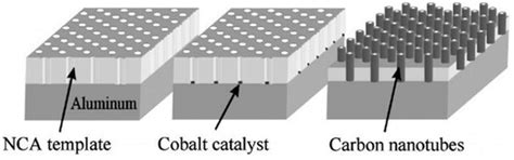The Relevant Approaches for Aligning Carbon Nanotubes