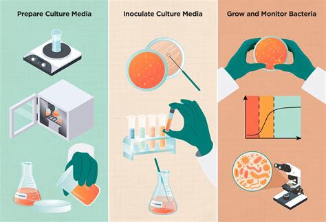 Exploring the Landscape of Bacterial Culture Media | The Scientist