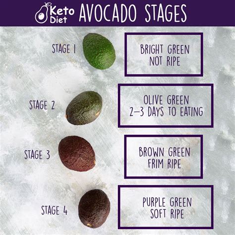 AVOCADO STAGES | Keto diet, Keto diet for beginners, Keto
