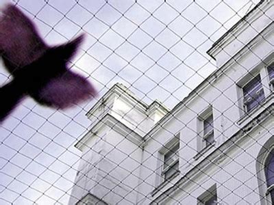 Bird Spikes in Kukatpally for Pigeon Control