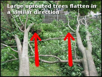 How the NWS determines Wind Damage and Tornadoes