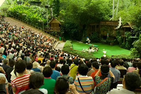 Jurong Singapore: The Ultimate Guide For Your Jurong Trip 2025
