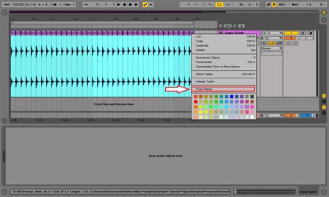 Ableton Sampler Tutorial 的图像结果
