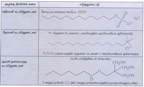 சுருக்கமாக விடையளி - அன்றாட வாழ்வில் வேதியியல் | Short Answer Questions ...