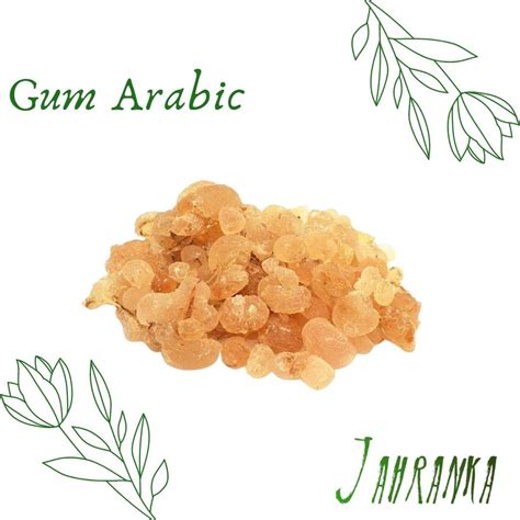 Gum Arabic | Gum arabic, Gum, Acacia tree